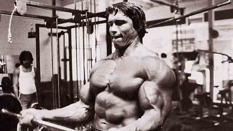 Arnold Split: The Best 6 Day Workout Split
